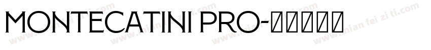 Montecatini Pro字体转换